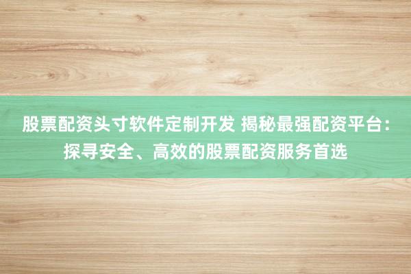 股票配资头寸软件定制开发 揭秘最强配资平台：探寻安全、高效的股票配资服务首选