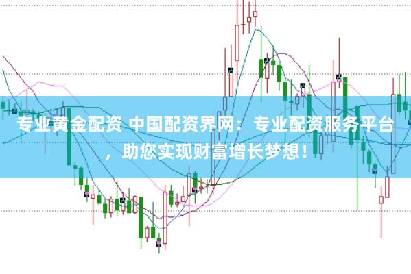 专业黄金配资 中国配资界网：专业配资服务平台，助您实现财富增长梦想！