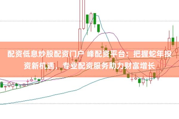 配资低息炒股配资门户 峰配资平台：把握蛇年投资新机遇，专业配资服务助力财富增长