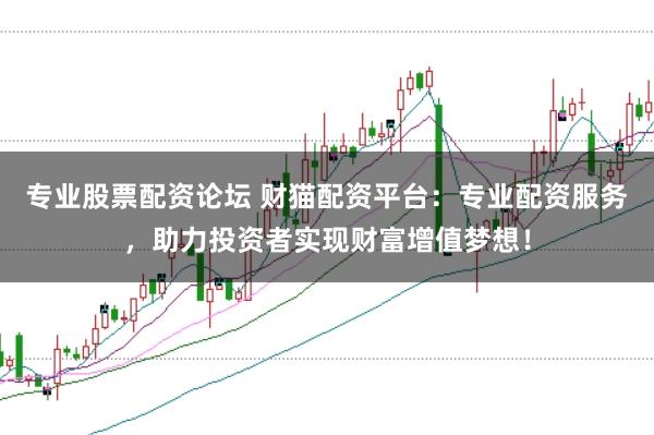 专业股票配资论坛 财猫配资平台：专业配资服务，助力投资者实现财富增值梦想！