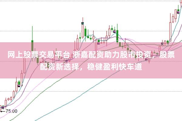 网上股票交易平台 浙嘉配资助力股市投资，股票配资新选择，稳健盈利快车道