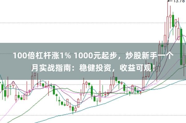 100倍杠杆涨1% 1000元起步，炒股新手一个月实战指南：稳健投资，收益可观！