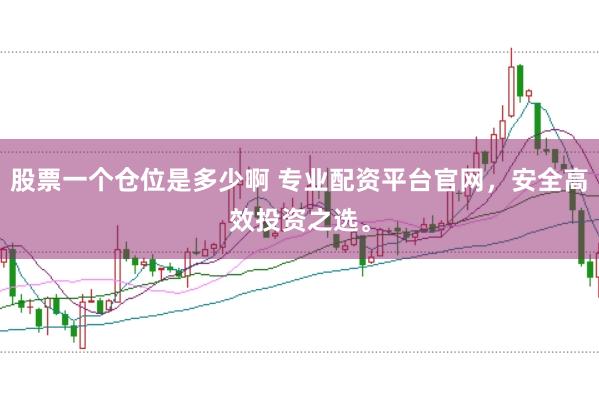 股票一个仓位是多少啊 专业配资平台官网，安全高效投资之选。