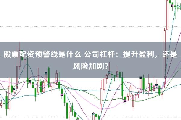 股票配资预警线是什么 公司杠杆：提升盈利，还是风险加剧？