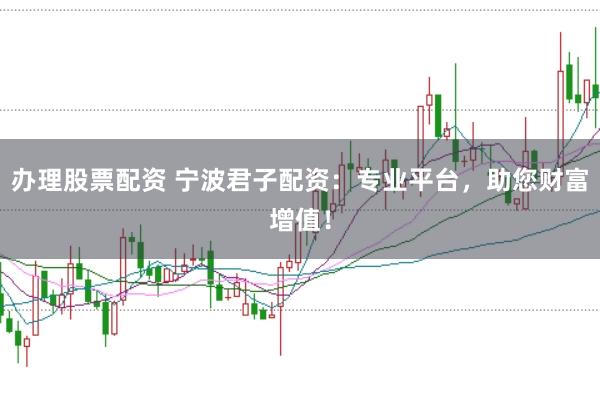 办理股票配资 宁波君子配资：专业平台，助您财富增值！