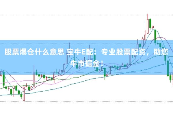 股票爆仓什么意思 宝牛E配：专业股票配资，助您牛市掘金！