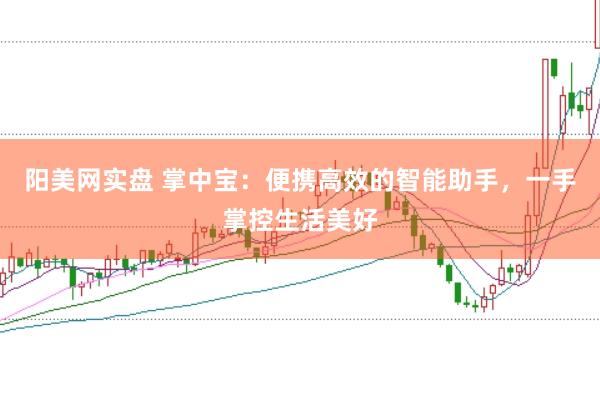 阳美网实盘 掌中宝：便携高效的智能助手，一手掌控生活美好