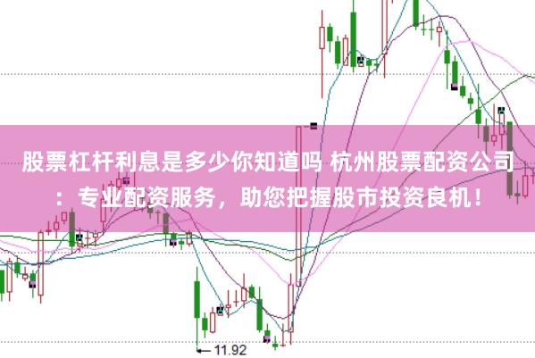 股票杠杆利息是多少你知道吗 杭州股票配资公司：专业配资服务，助您把握股市投资良机！