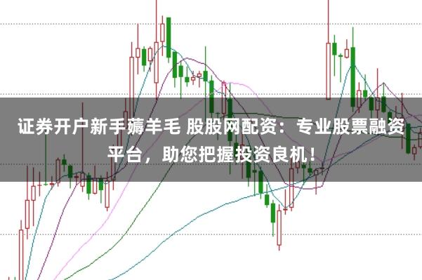 证券开户新手薅羊毛 股股网配资：专业股票融资平台，助您把握投资良机！
