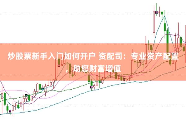 炒股票新手入门如何开户 资配司：专业资产配置，助您财富增值