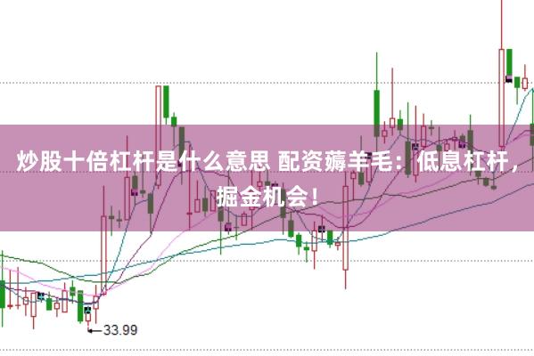 炒股十倍杠杆是什么意思 配资薅羊毛：低息杠杆，掘金机会！