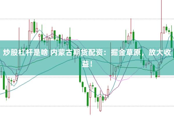 炒股杠杆是啥 内蒙古期货配资：掘金草原，放大收益！
