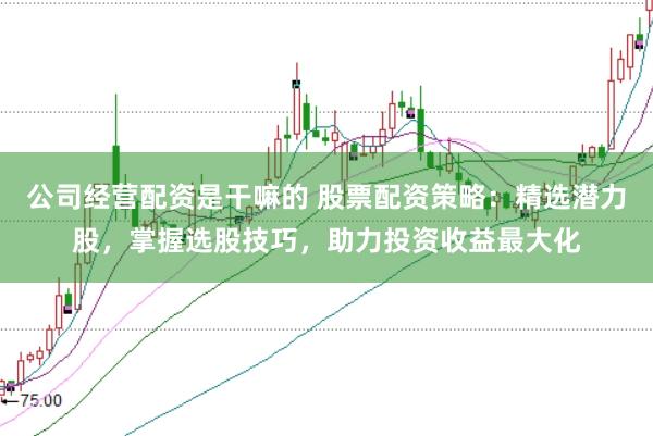 公司经营配资是干嘛的 股票配资策略：精选潜力股，掌握选股技巧，助力投资收益最大化