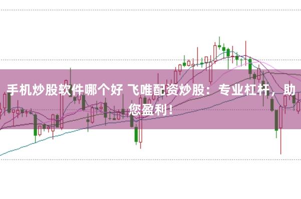 手机炒股软件哪个好 飞唯配资炒股:专业杠杆,助您盈利!
