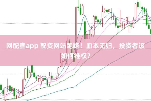 网配查app 配资网站跑路！血本无归，投资者该如何维权？