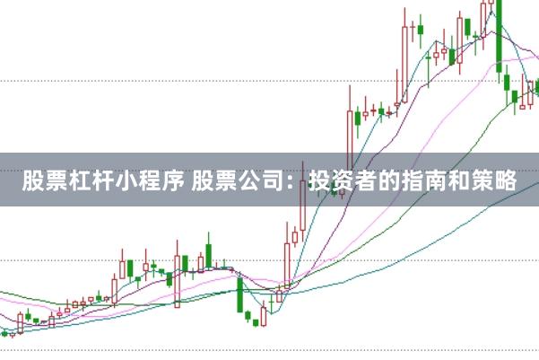 股票杠杆小程序 股票公司:投资者的指南和策略