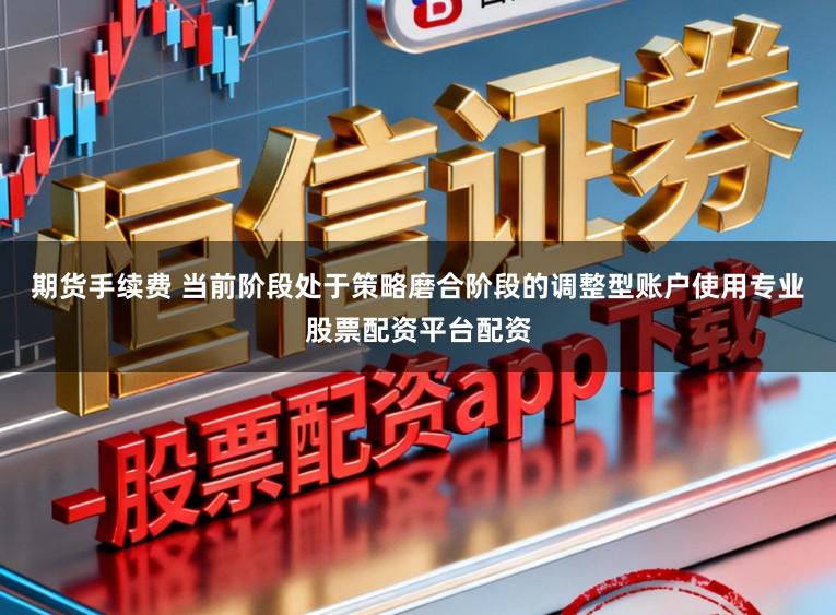 期货手续费 当前阶段处于策略磨合阶段的调整型账户使用专业股票配资平台配资