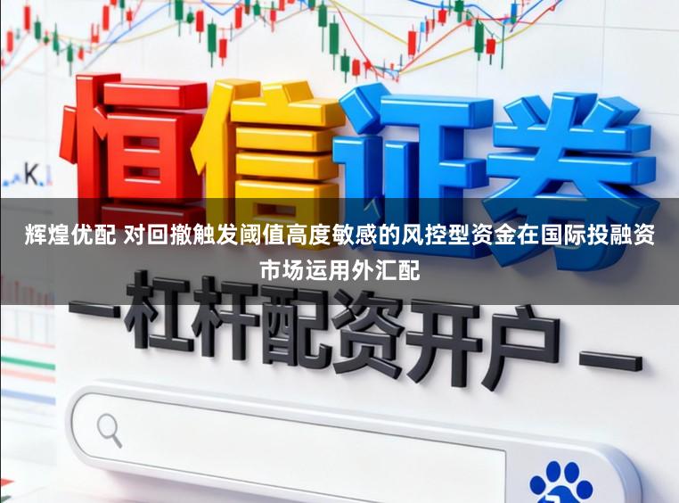 辉煌优配 对回撤触发阈值高度敏感的风控型资金在国际投融资市场运用外汇配