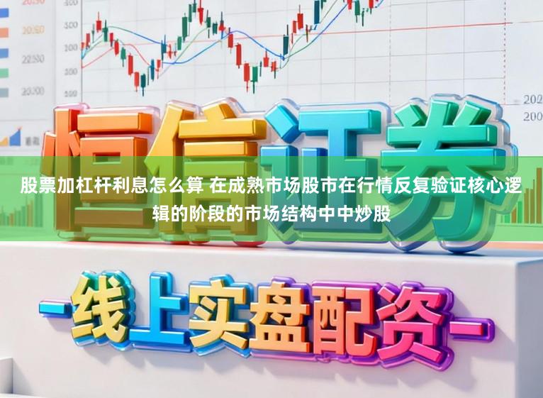 股票加杠杆利息怎么算 在成熟市场股市在行情反复验证核心逻辑的阶段的市场结构中中炒股
