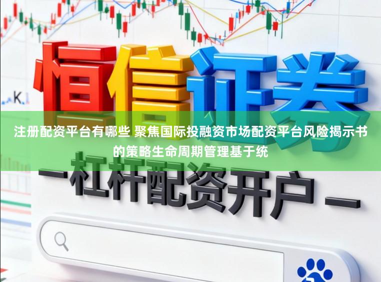 注册配资平台有哪些 聚焦国际投融资市场配资平台风险揭示书的策略生命周期管理基于统